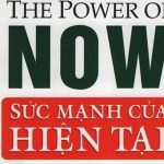 306950831 514792363984880 2568560334122662139 n